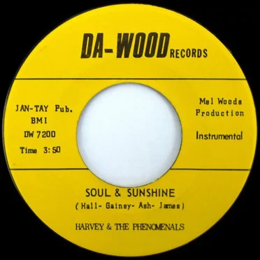Soul & Sunshine / What Can I Do