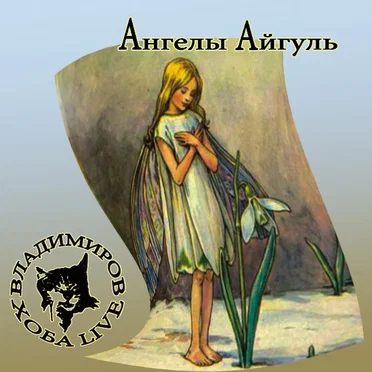 Ангелы Айгуль by Владимиров & Хоба Live - album cover