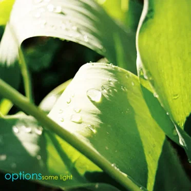 Some Light by Options - album cover