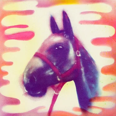 Territory by Tanz Mein Herz - album cover