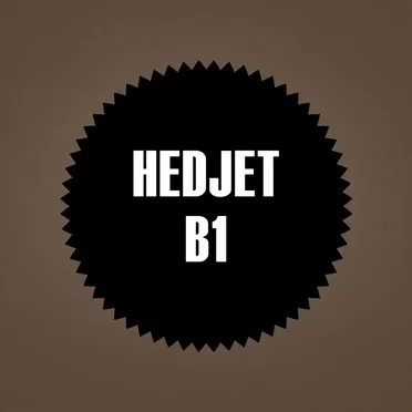 B1