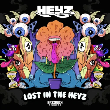 Lost in the HEYZ