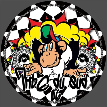 Tribe Du Sud 06 by Various Artists - album cover