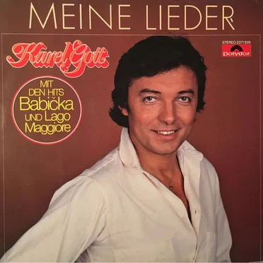 Meine Lieder '79
