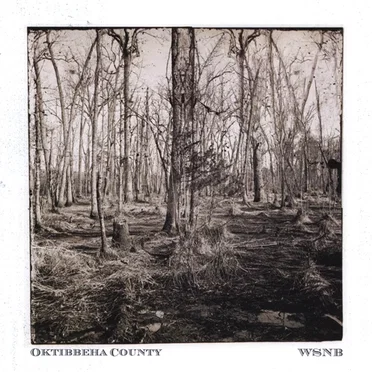 Oktibbeha County by WSNB - album cover