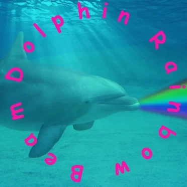 Dolphin Rainbow Beam (Single)