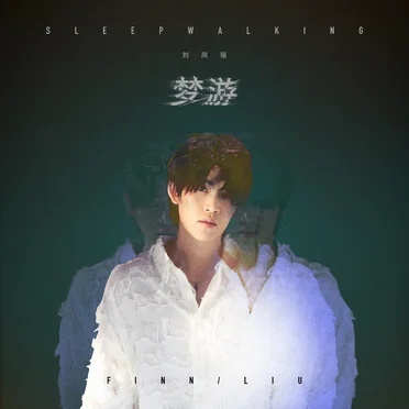 梦游 Sleepwalking