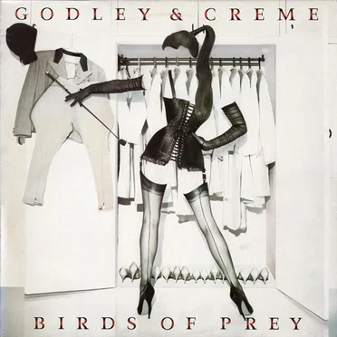 Birds of Prey