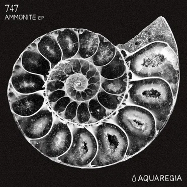Ammonite EP by 747 - album cover