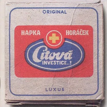 Citová investice