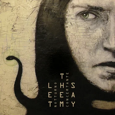 Let Them Say by Notturno Concertante - album cover