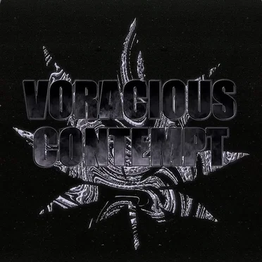 Slammed and Screwed by Voracious Contempt - album cover