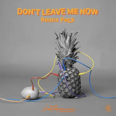Don’t Leave Me Now (remix Pack)