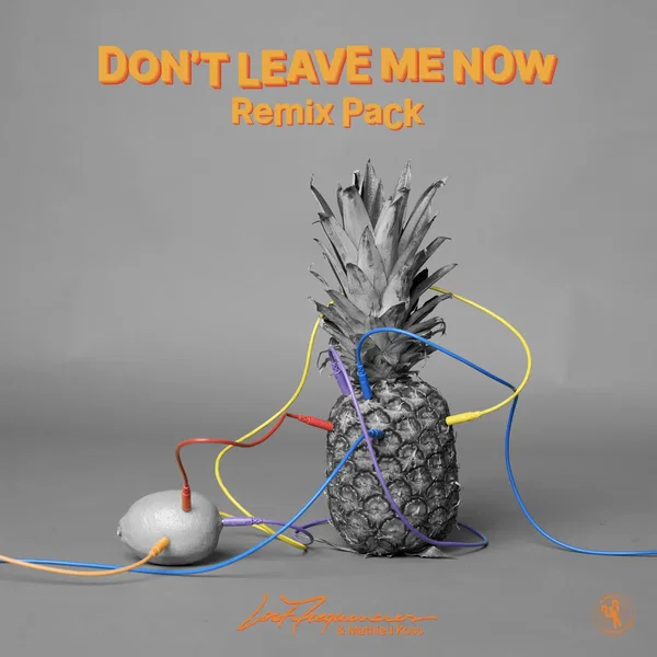 Don’t Leave Me Now (remix Pack)