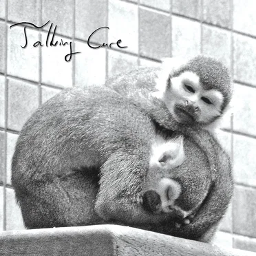 Hausarbeit by Talking Cure - album cover