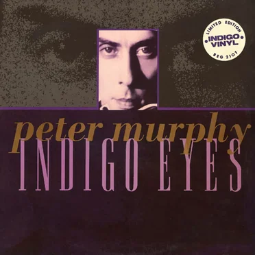 Indigo Eyes