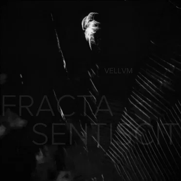 Fracta Sentiscit by VELLVM - album cover