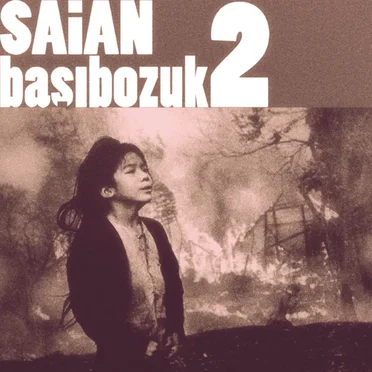Başıbozuk 2