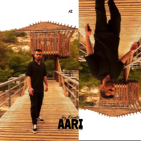 Aari