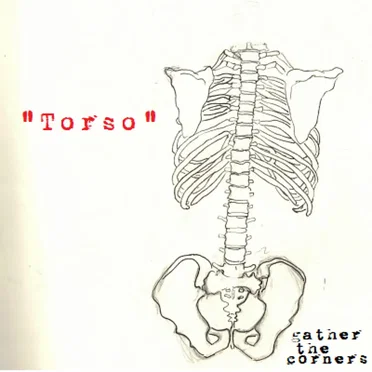 Torso