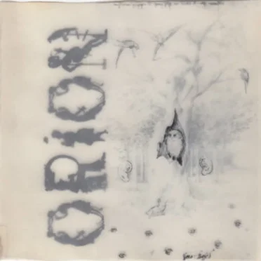 Die Eule Im Morschen Baum, Der Hörende Wald Und Das Sehende Feld by 0rion - album cover