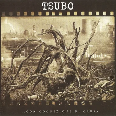 Tsubo