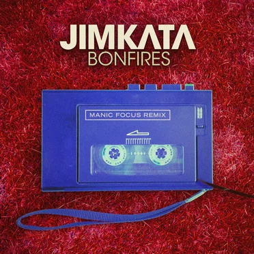 Bonfires (Manic Focus Remix)