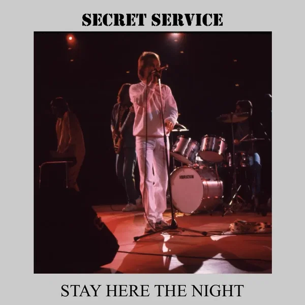 Stay Here the Night