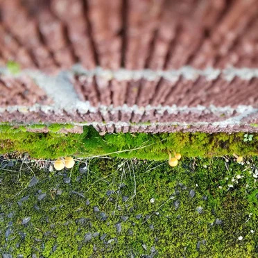 An Improvisation for Strings, Percussion, Keys, and Flute