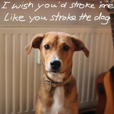 I Wish You'd Stroke Me Like You Stroke the Dog