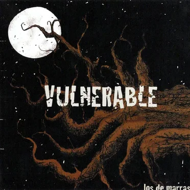 Vulnerable