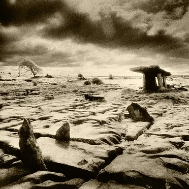 In the Bloodlit Dark by Zoar - album cover