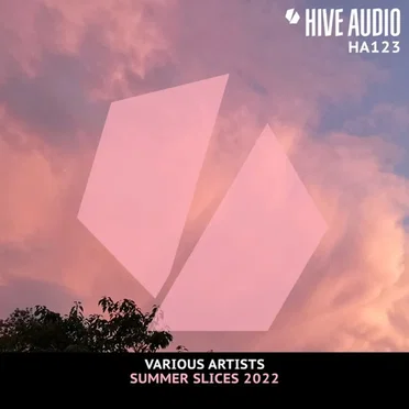 Hive Audio - Summer Slices 2022 by Various Artists - album cover