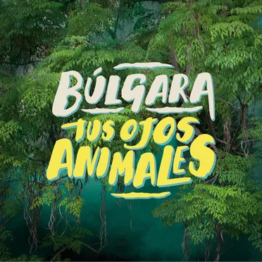 Tus ojos animales