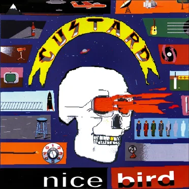 Nice Bird by Custard - album cover