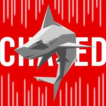 Chased By The Hammerhead Robot (BETTOGH Remix)