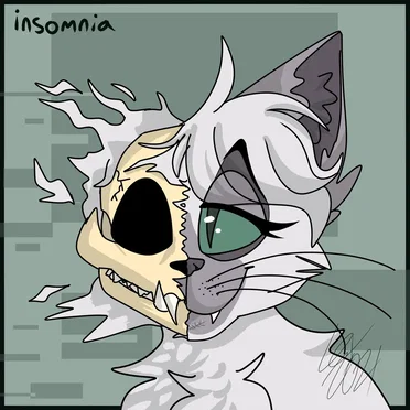Insomnia by Twinkle Fatigue - album cover