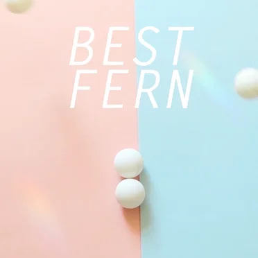 I Know You Know by Best Fern - album cover