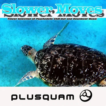 Slower Moves by Various Artists - album cover