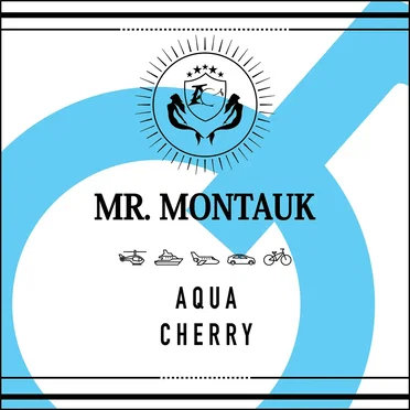 Mr Montauk