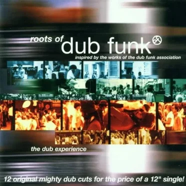 Roots of Dub Funk: The Dub Experience by Various Artists - album cover