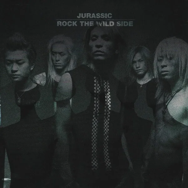 ROCK THE WILD SIDE