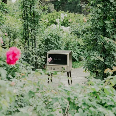 Garden Variety