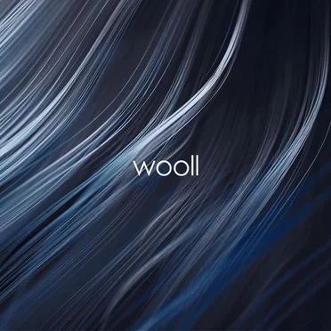 Splitting Light by wooll - album cover