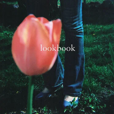 Wild at Heart by Lookbook - album cover
