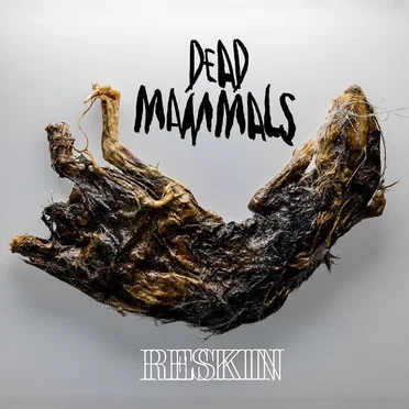 Reskin