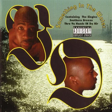 Something In The Water by BO - album cover