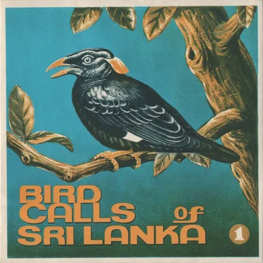 Bird Calls of Sri Lanka 1 by [nature sounds] - album cover