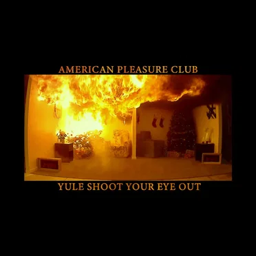 Teen Suicide