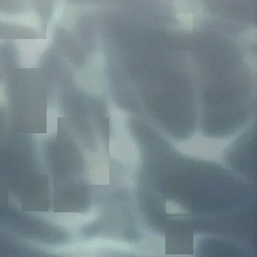 Shyness by CHANTSSSS - album cover